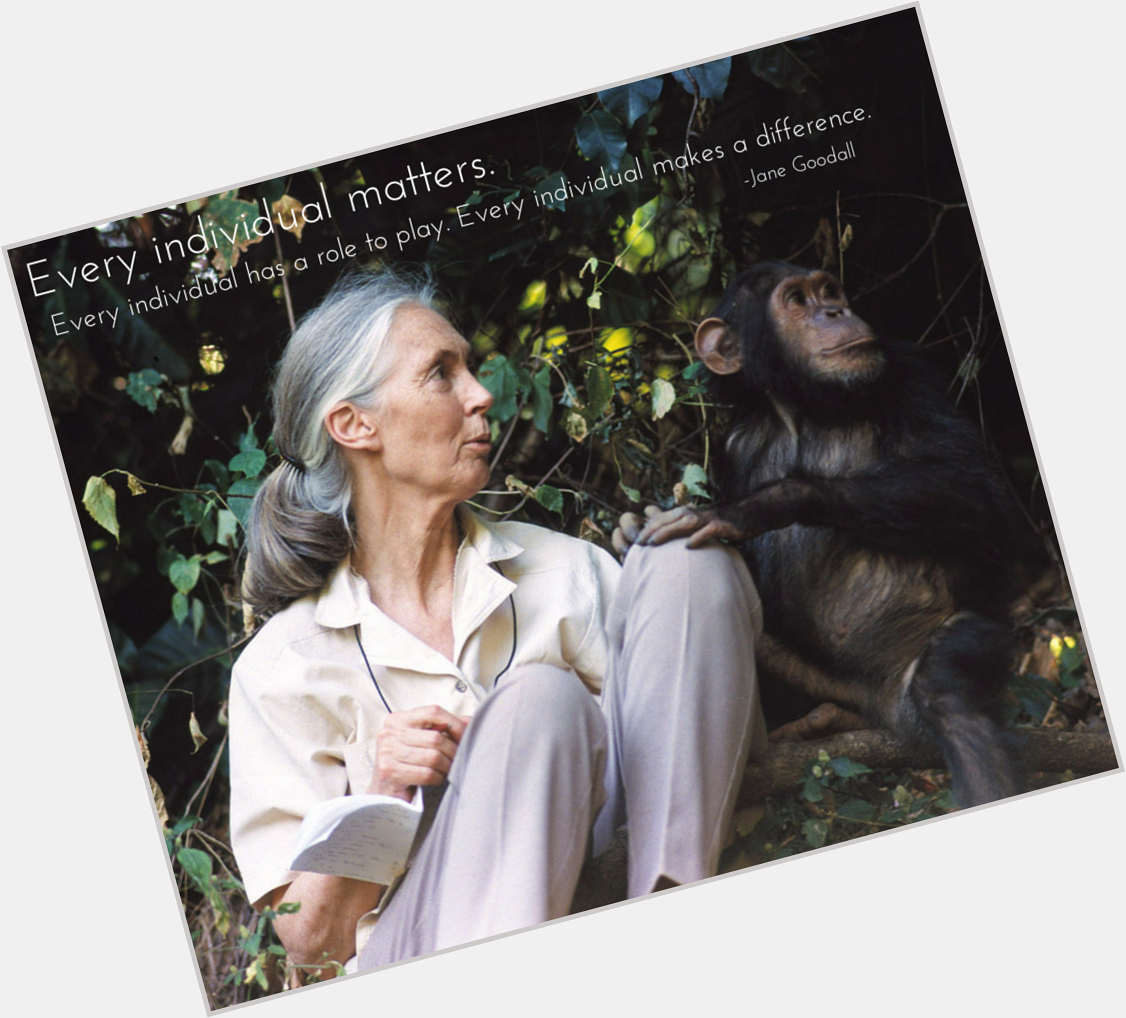 Happy 81st birthday to namesake of the USC Jane Goodall Research Center! 