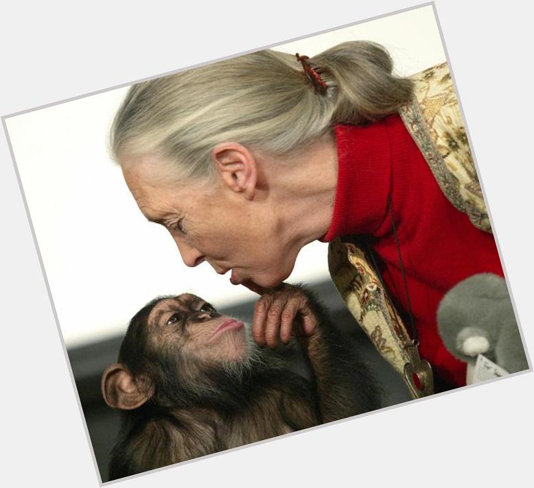 Happy birthday, Jane Goodall!  