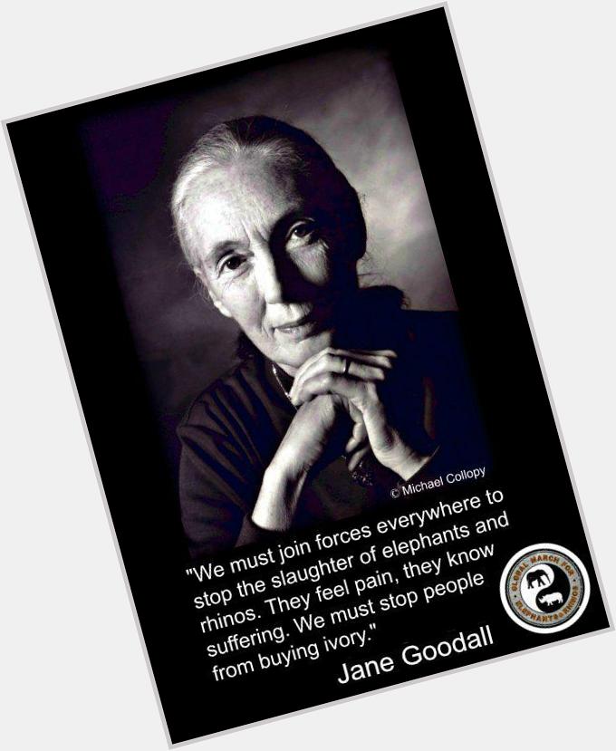 Happy birthday Jane Goodall! Thank you for your life\s work & teaching respect & love for chimps & all animals. 