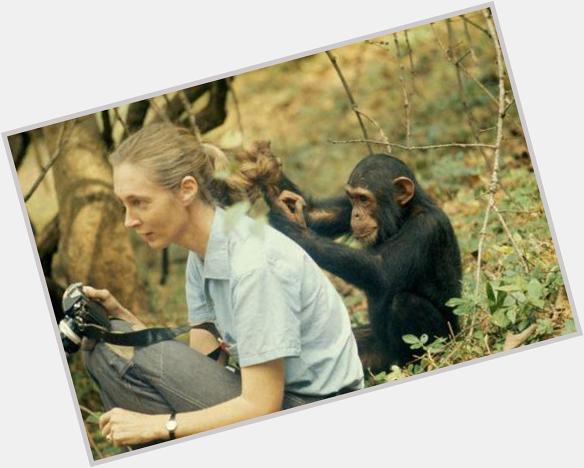 Happy 81st Birthday to today\s über-cool celebrity w/an über-cool camera: primatologist/anthropologist JANE GOODALL 