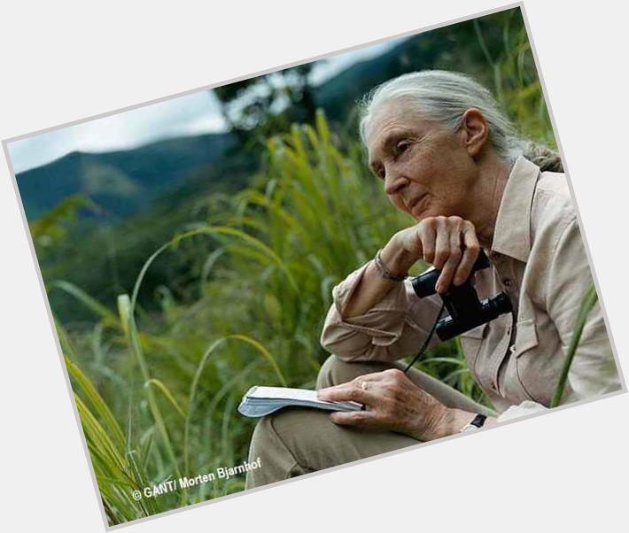 Happy birthday, Dr. Jane Goodall. 
