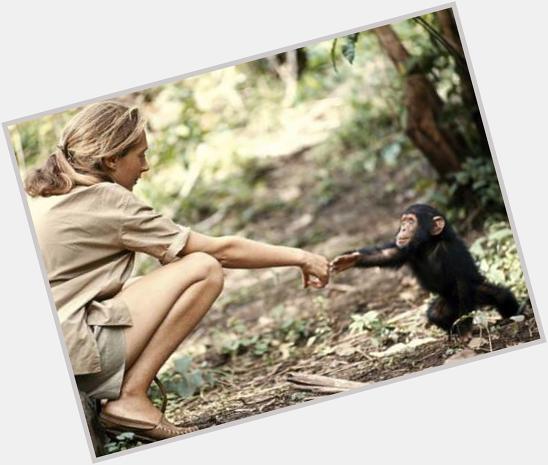 Happy birthday, Jane Goodall! Thank you for teaching me how to empathize and love! I loved studying her life\s work! 