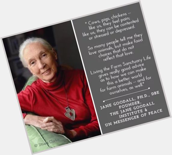 Happy Birthday to Jane Goodall! 