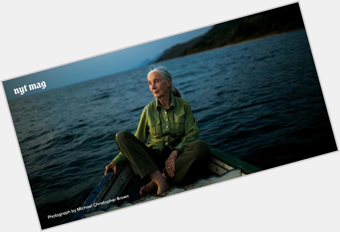 Happy birthday to Jane Goodall who turns 81 today! Read our profile of her by 