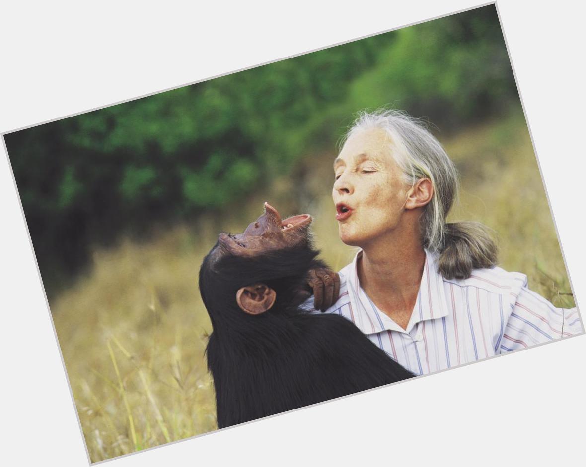 Happy birthday to my role model and inspiration! jane goodall 