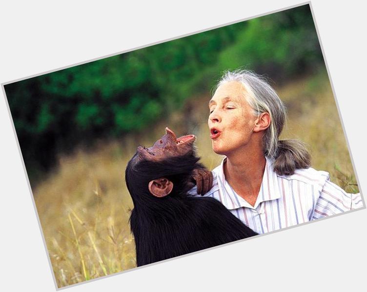 Happy Birthday Jane Goodall!! 