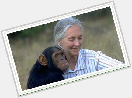 Happy Friday and Happy Birthday Jane Goodall!  