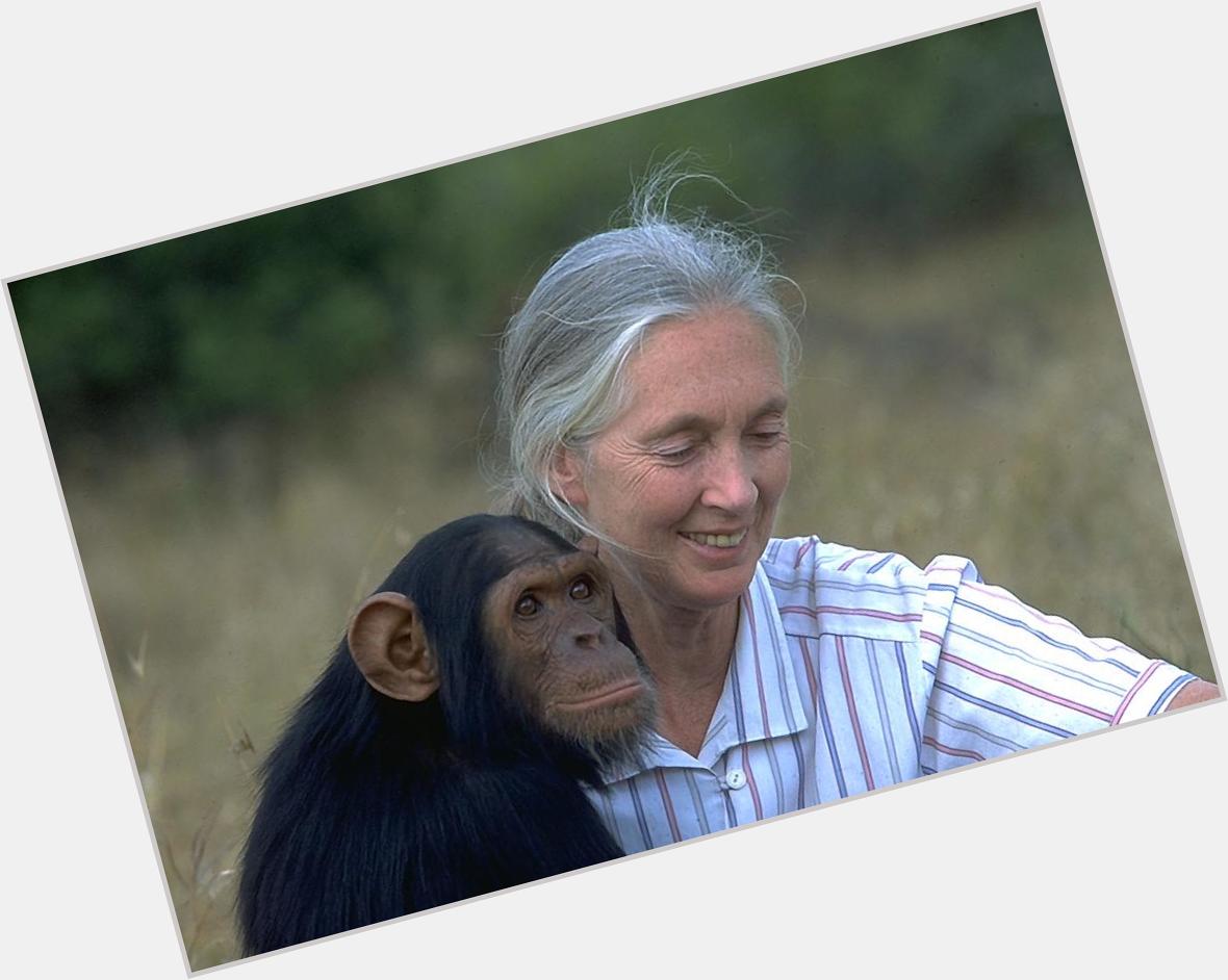 Happy birthday to Jane Goodall. I admire her work so much. She inspired and grew my love for animals.  