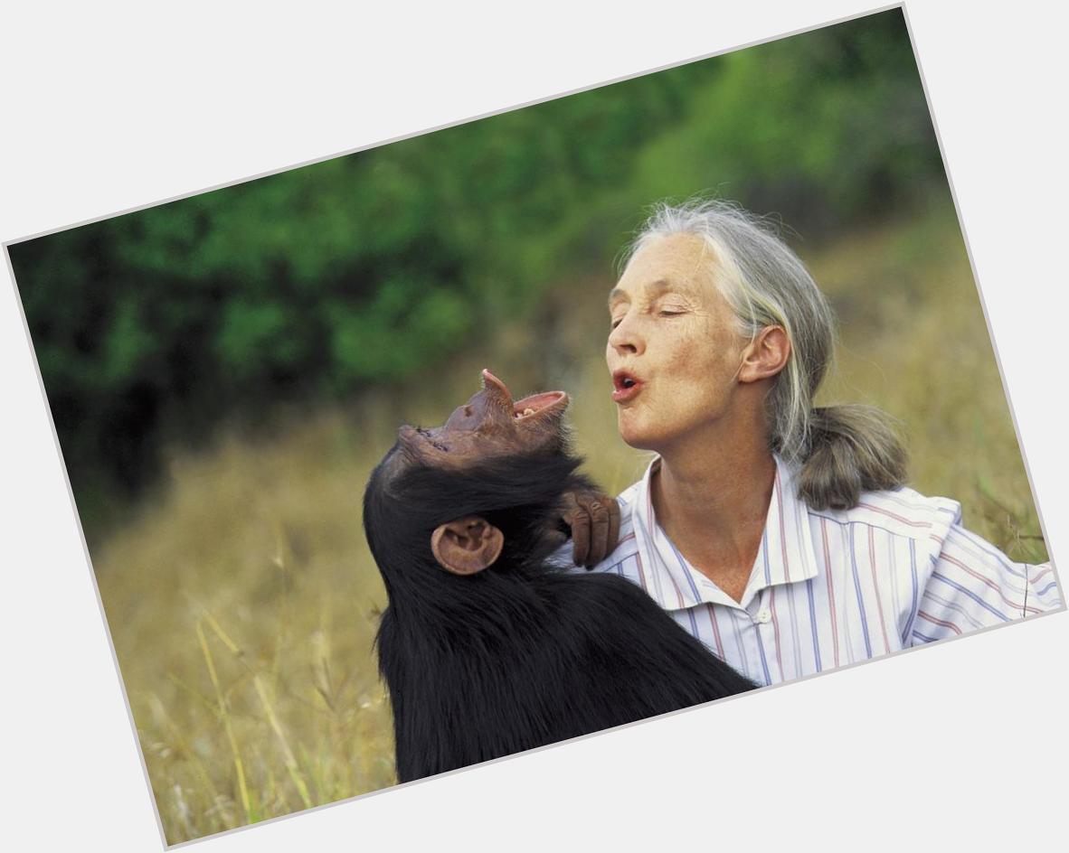 Happy Birthday, Jane Goodall! Jane Goodall\s Reason for Hope 