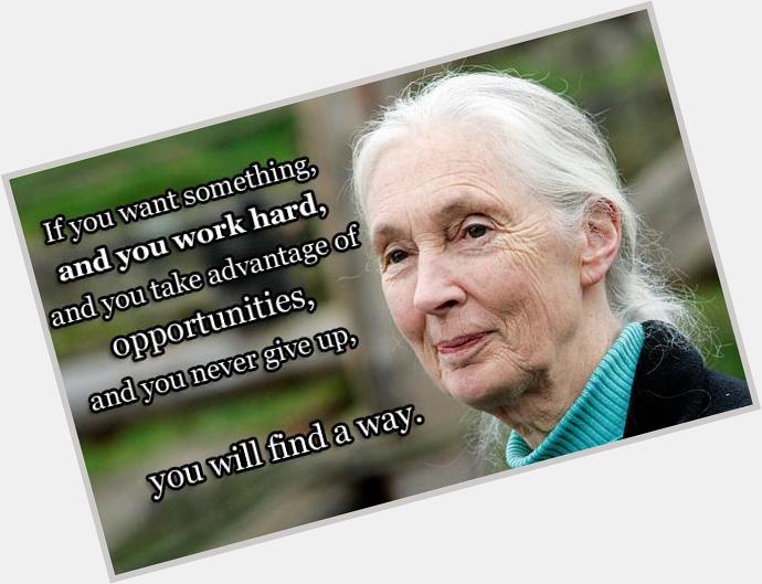 Happy 81st Birthday Jane Goodall! 