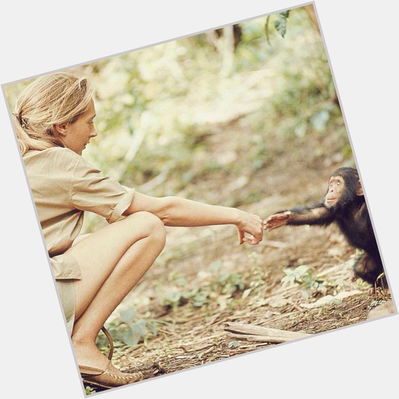 Happy 81st birthday to my hero and such a great inspiration for women, Jane Goodall  