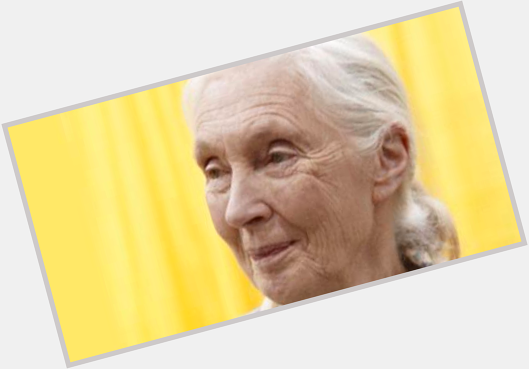 Action4animals: brainpicker: Happy birthday, Jane Goodall! One of the most inspiring human beings on science & 