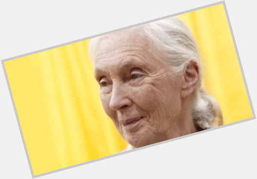 Happy birthday Jane Goodall !

To me , You are One of the most inspiring human beings on science & spirituality !

. 