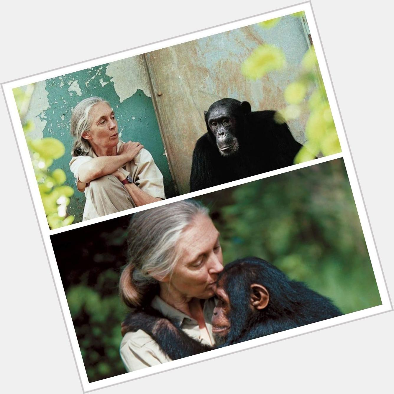 HAPPY BIRTHDAY TO JANE GOODALL......WOW A HERO.....A BEAUTIFUL HEAAND A SPECIAL WOMAN....THANK YOU  