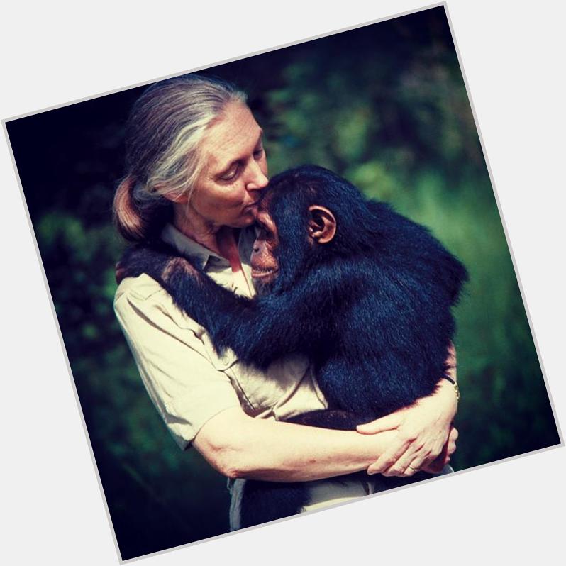 Happy 81st Birthday Jane Goodall!    