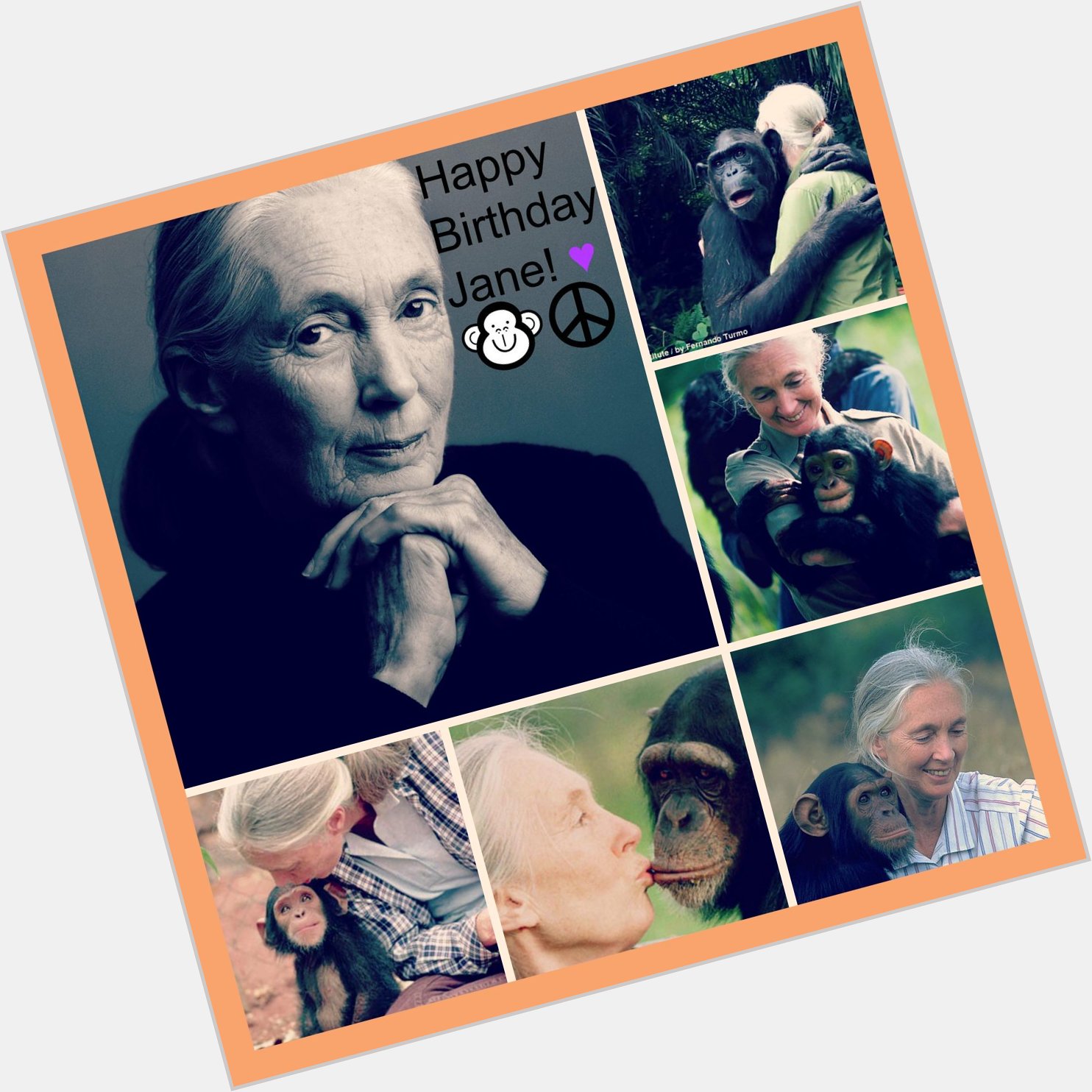 A very happy Birthday to Jane Goodall, thank you so much for what you do for animals!   