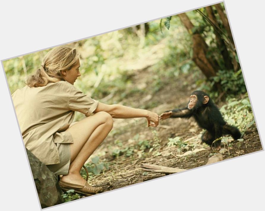 Happy birthday Jane Goodall. Love this picture of her by Hugo Van Lawick 