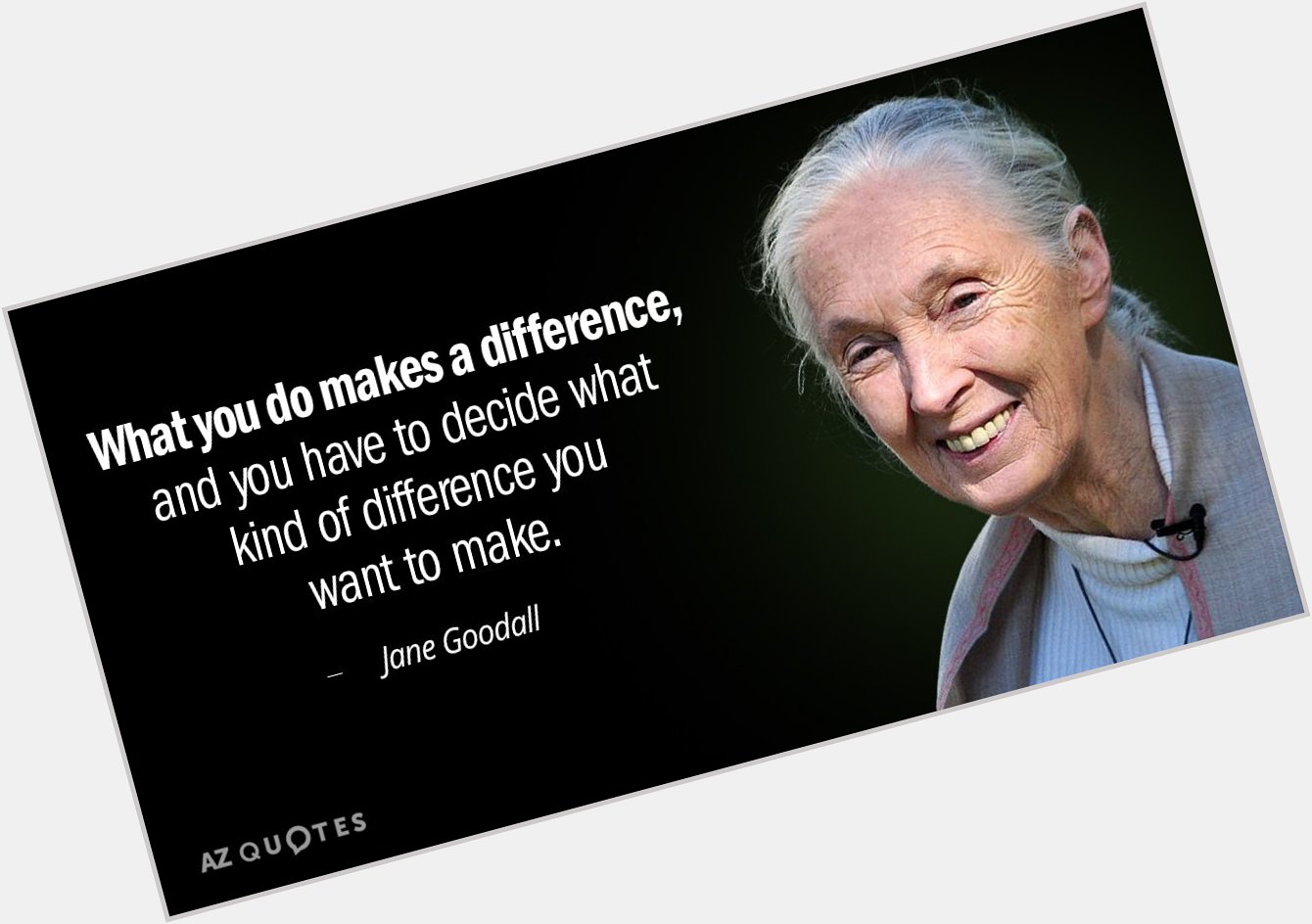Happy Birthday Jane Goodall!  