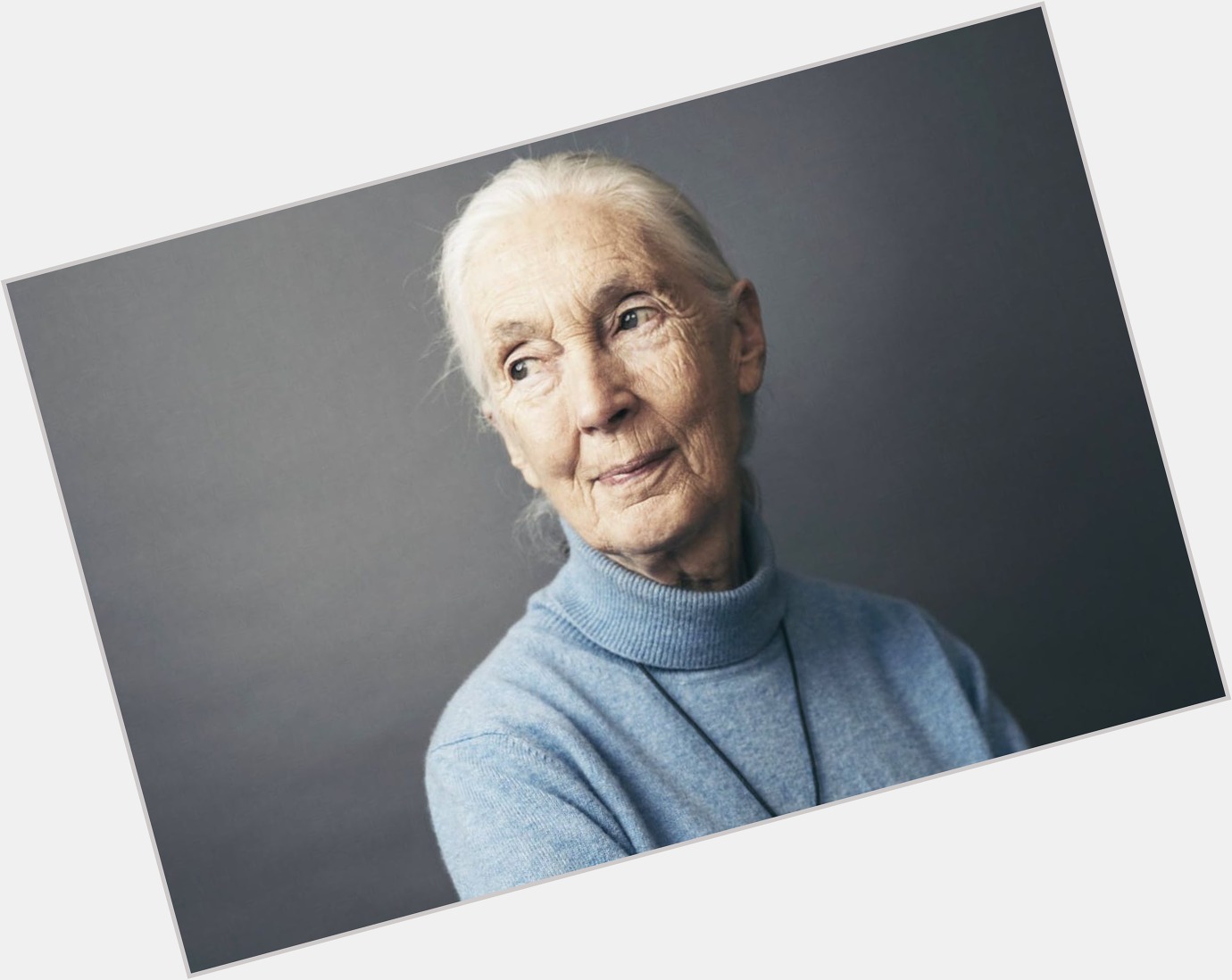 Happy 85th Birthday, Dame Jane Goodall! 