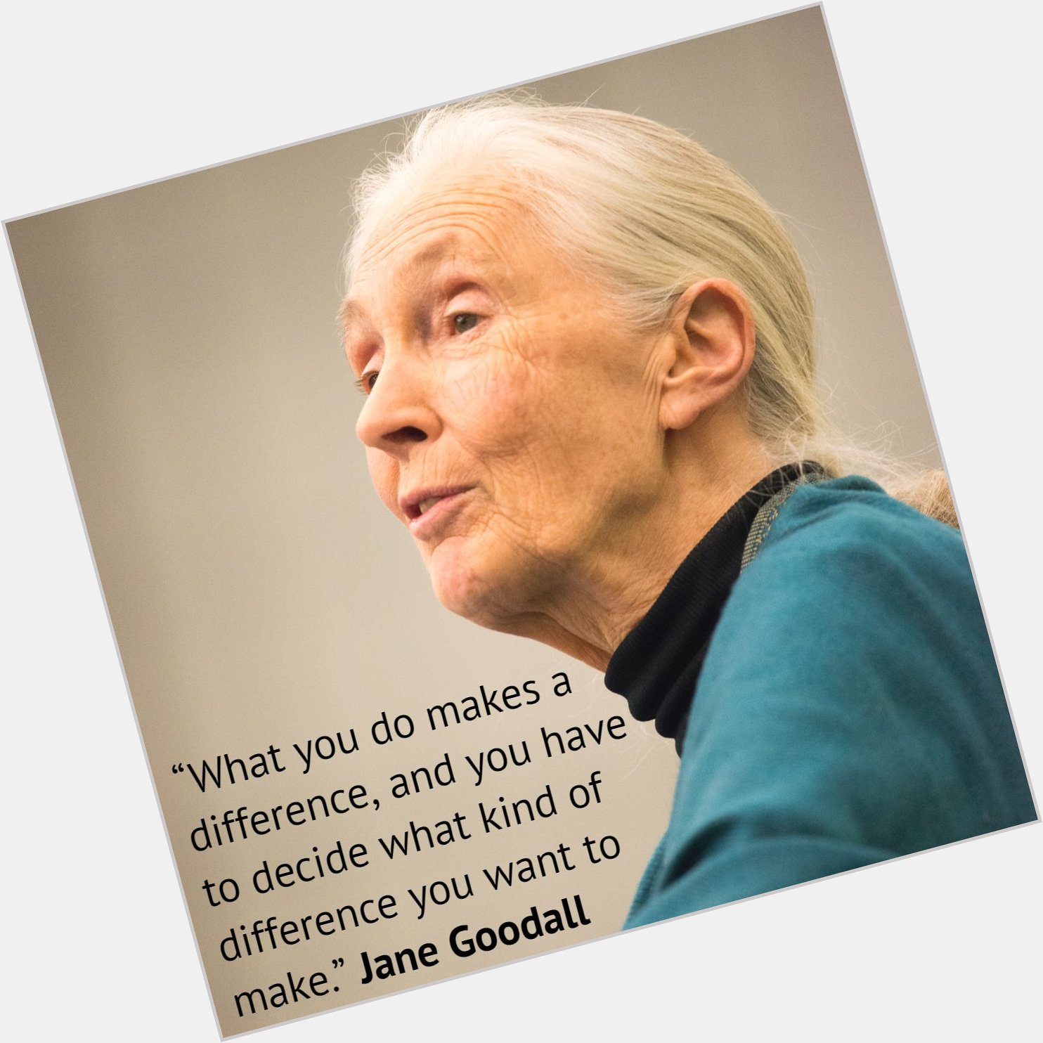 Happy 84th birthday Jane Goodall 