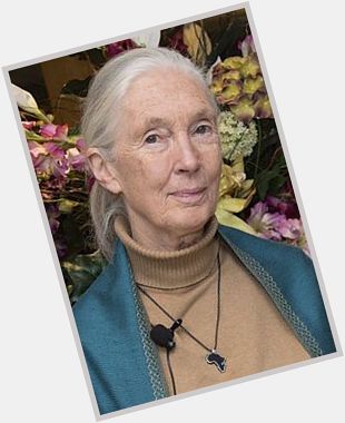 Happy Birthday to British primatologist & anthropologist Dame Jane Goodall! 