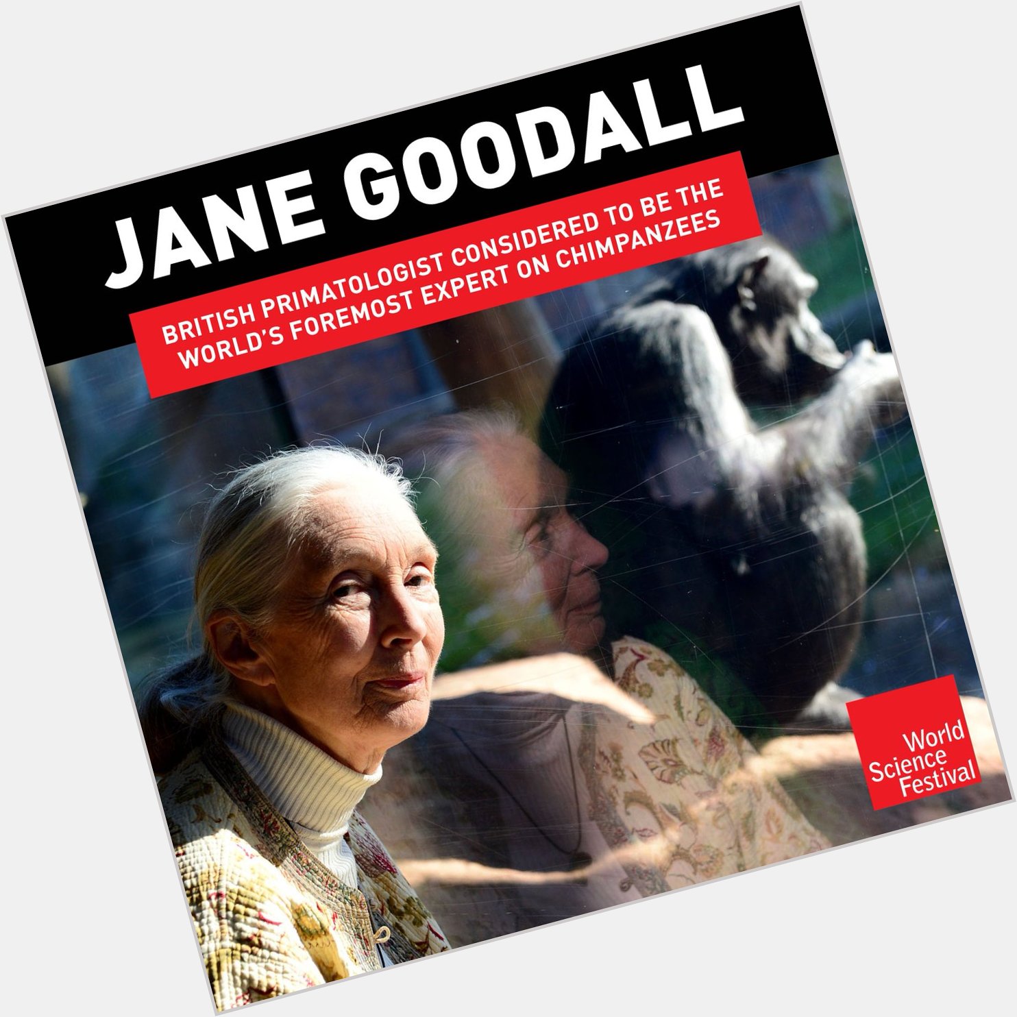 Happy birthday to the incredible Jane Goodall! 
