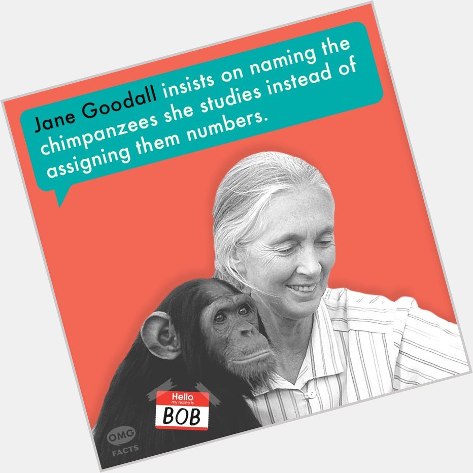 Happy 84th birthday,  Jane Goodall! 