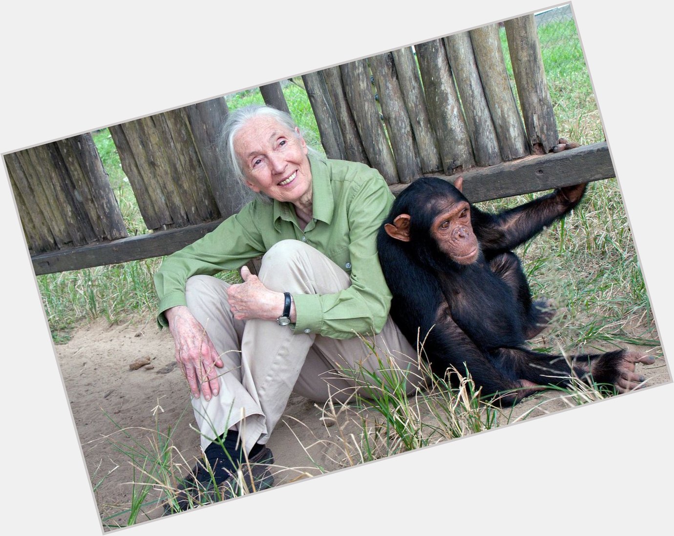 Happy Birthday to the wonderful Dr Jane Goodall! 