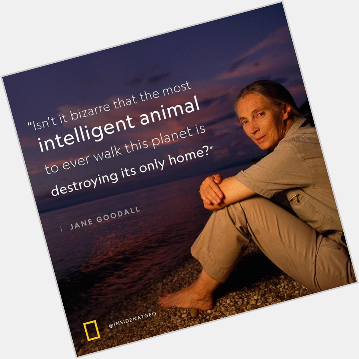 Happy birthday to Jane Goodall! Thanks to for this thought-provoking quotation from her. 