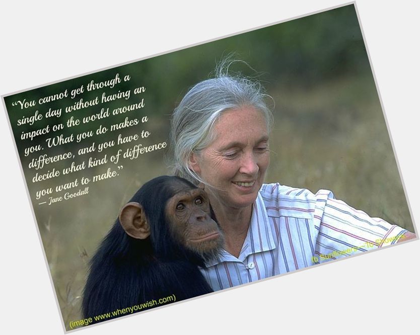 Happy Birthday Jane Goodall! An inspiration to me & many other biologists around the world. 