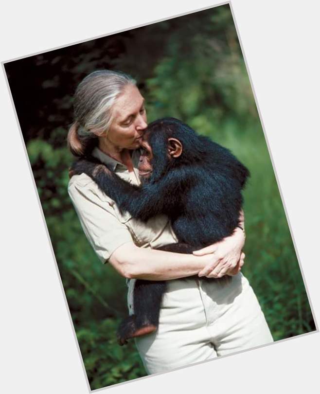 Happy 86th birthday Jane Goodall!!!     