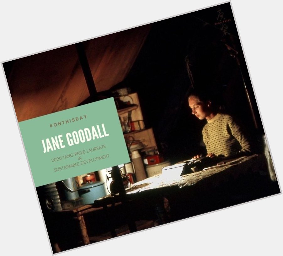Happy Birthday to Dr. Jane Goodall 