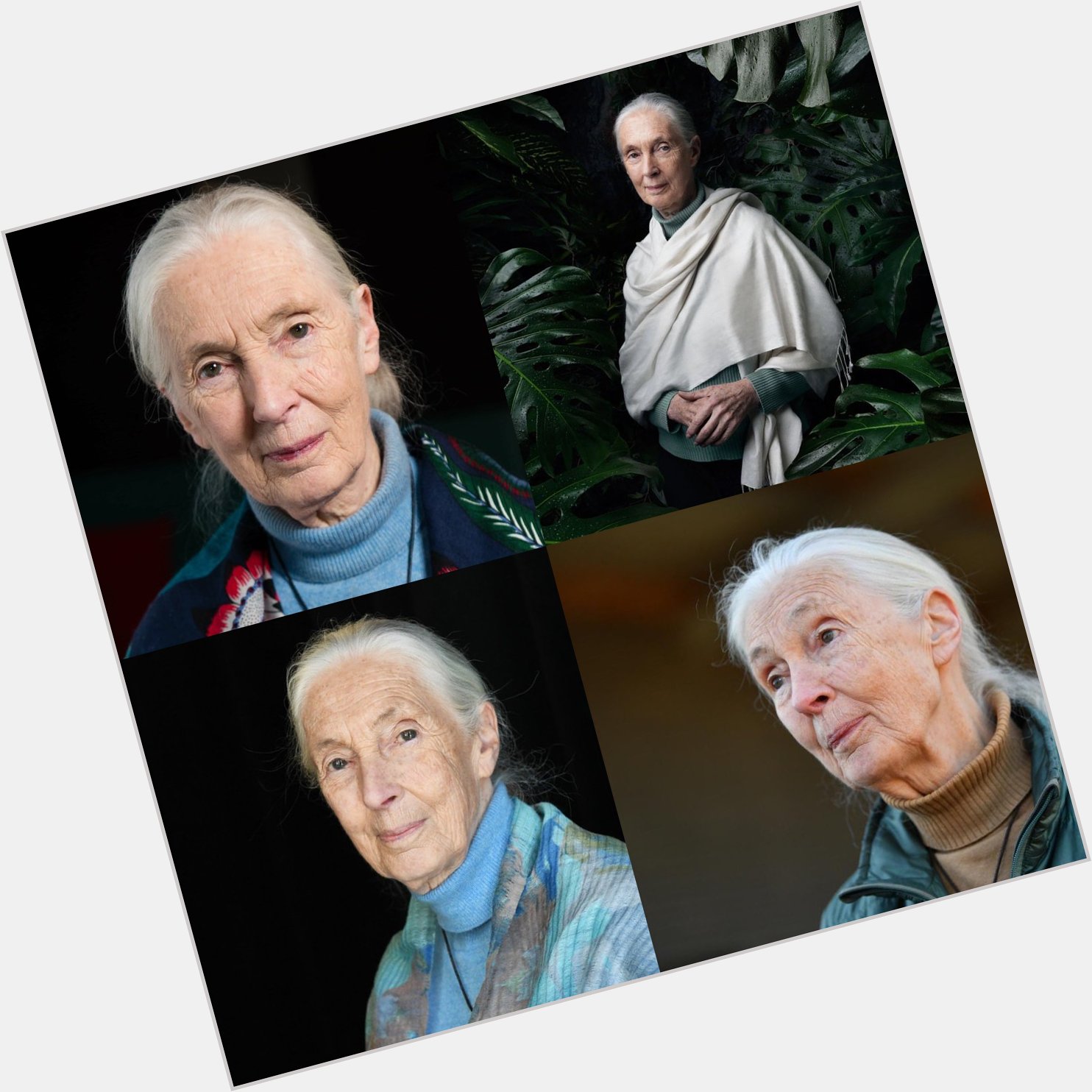 Happy 87 birthday to Jane Goodall . Hope that she has a wonderful birthday.        