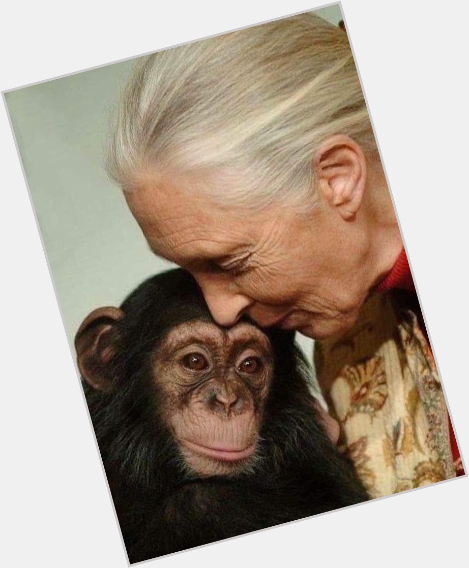 Feliz cumpleaños, Sra.Jane Goodall 87 años. Una vida para salvar a los animales Happy birthday you are amazing     