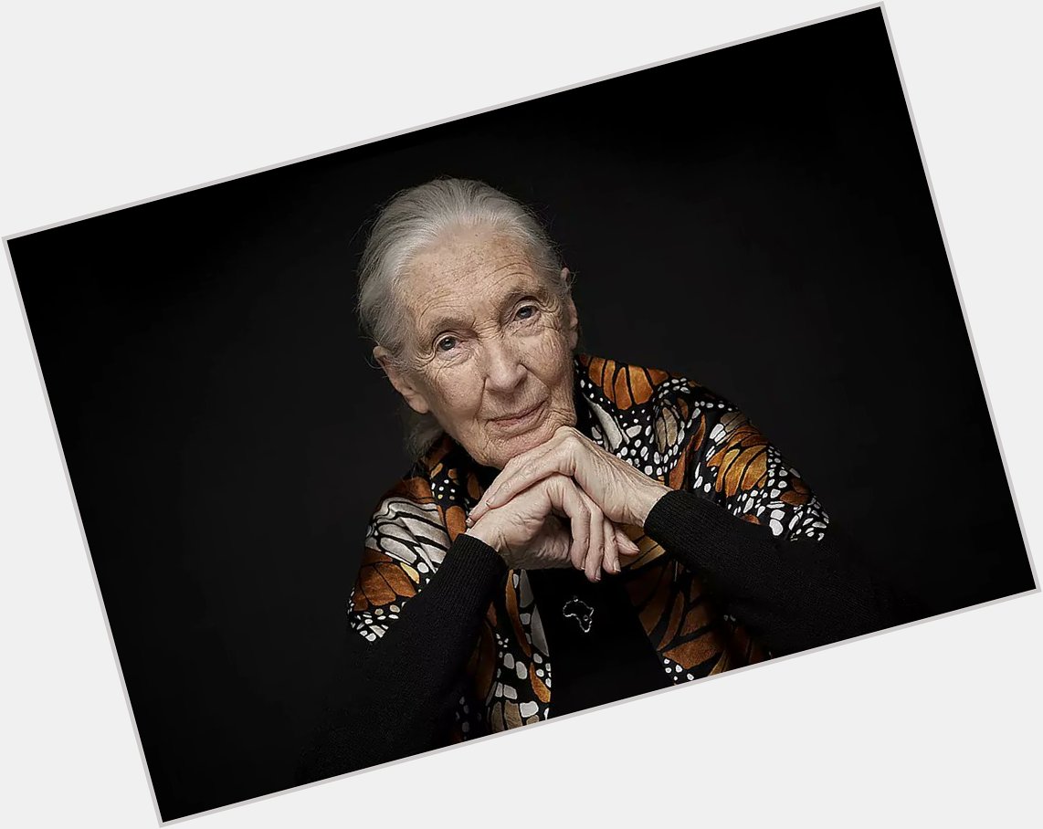  Happy birthday my dear Jane Goodall !! 