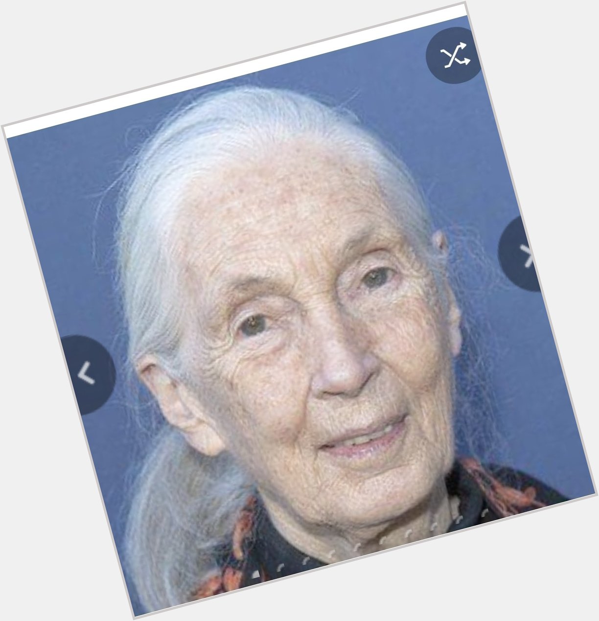Happy Birthday to this world renowned zoologist.  Happy Birthday to Jane Goodall 