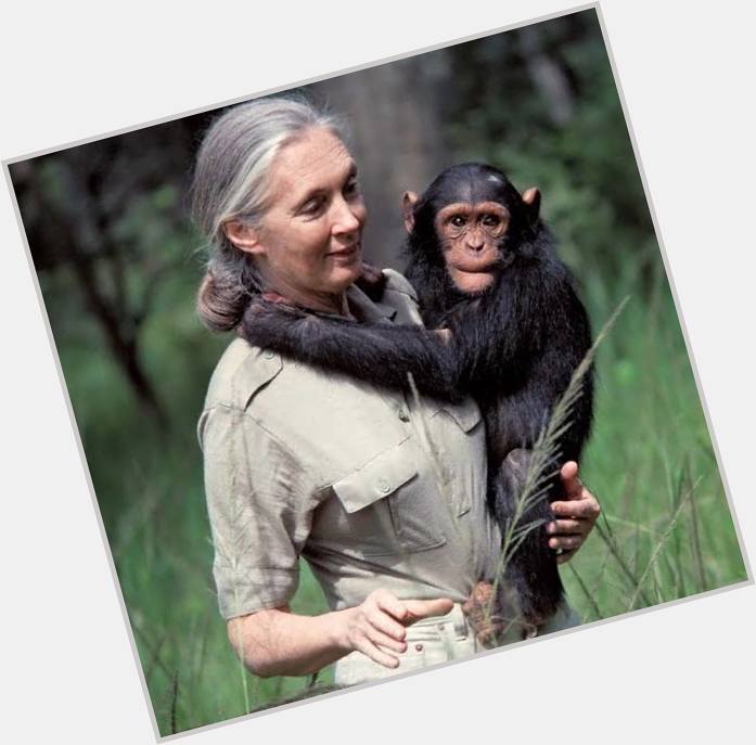 Happy 88th birthday to the legendary and inspiring Dr. Jane Goodall! 
