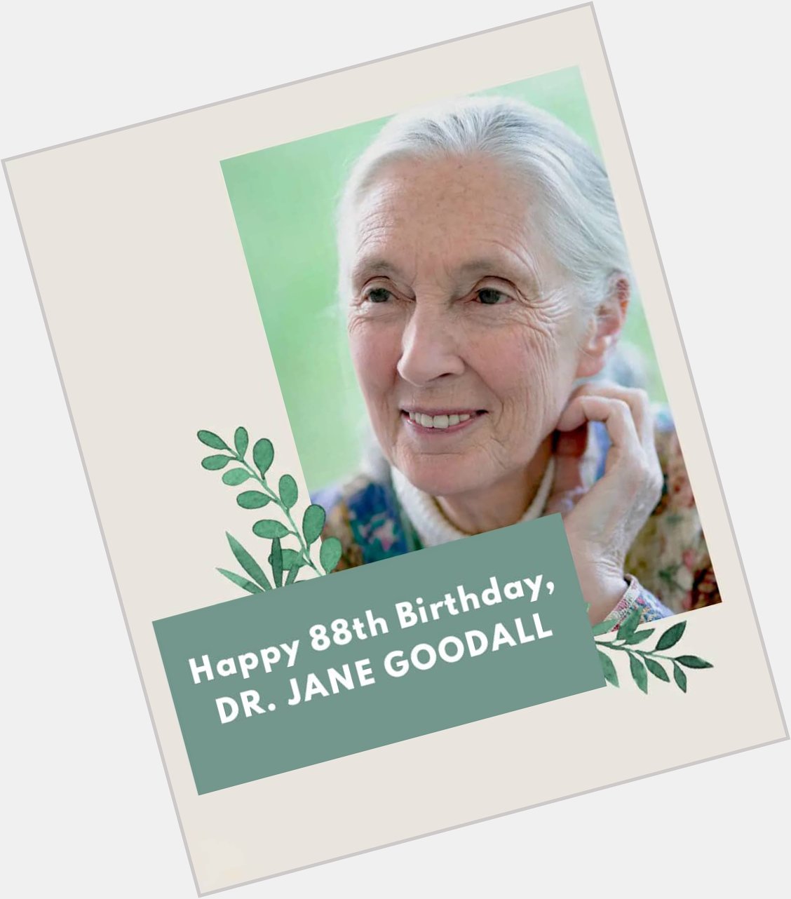 Happy Birthday Dr. Jane Goodall. The world is a better place with you. Long life to you!!!
I love you    