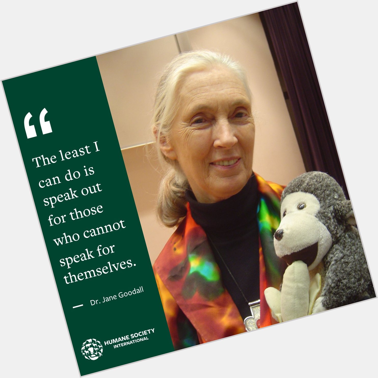 Happy birthday to lifelong animal rights champion, Dr. Jane Goodall!  