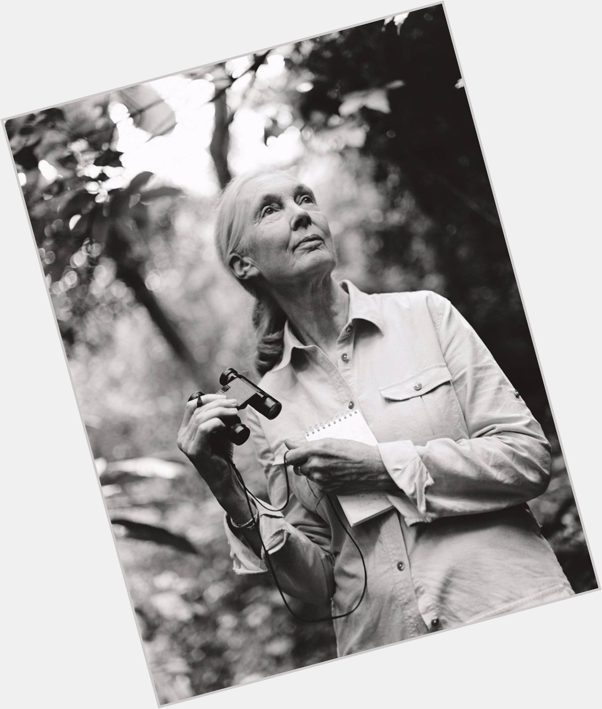 Happy 88th Birthday Jane Goodall! 