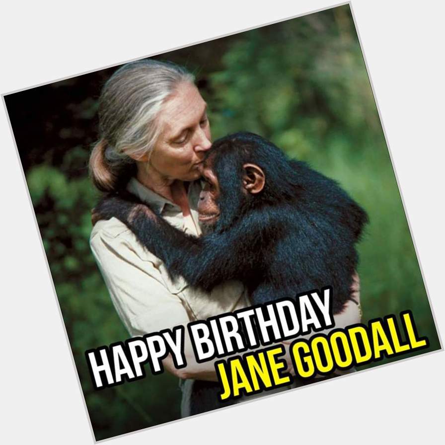 Happy Birthday Jane Goodall 89  