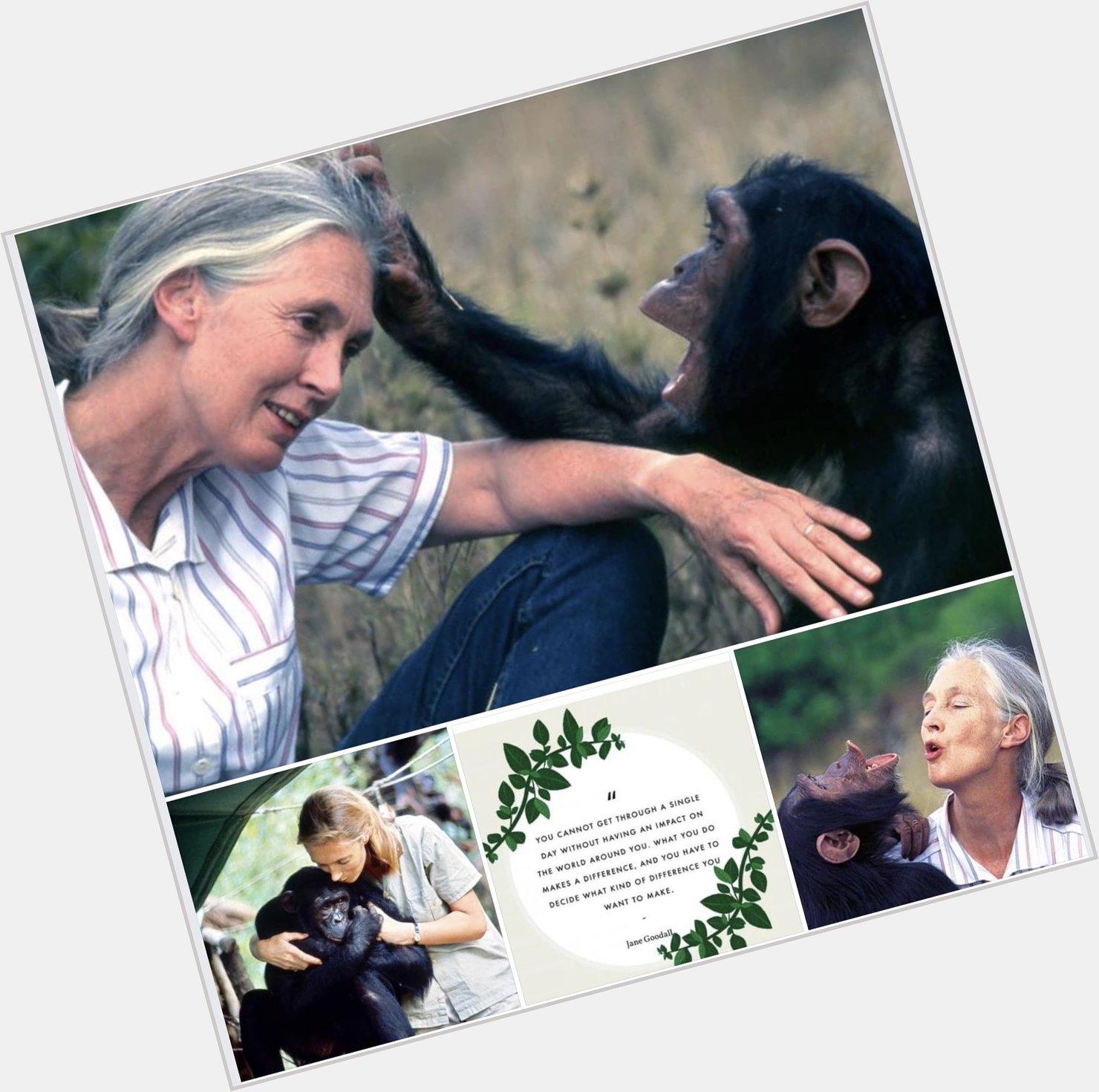 Happy 89th birthday to the amazing Jane Goodall making the world a better place. 