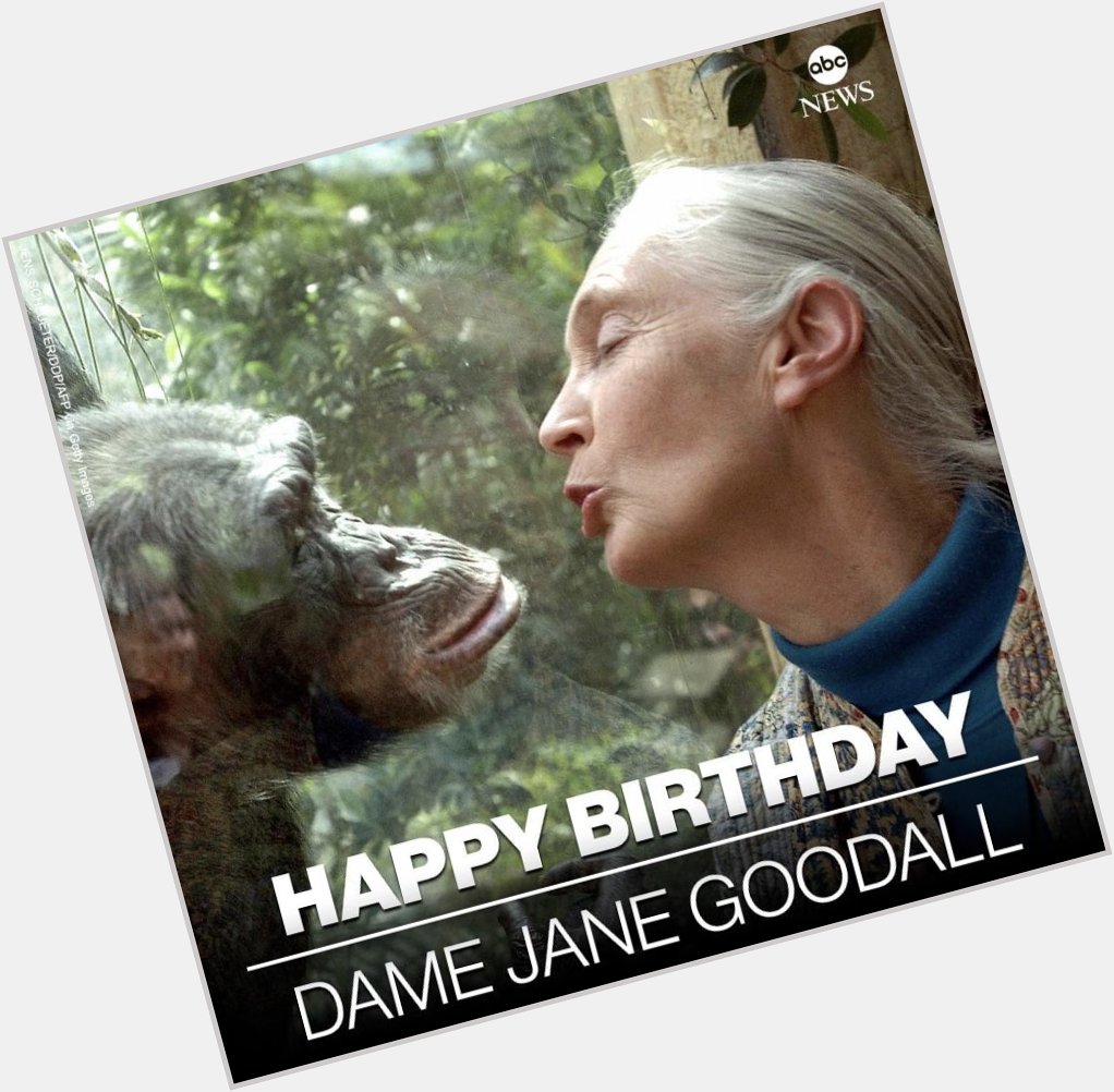 Happy 89th birthday to Jane Goodall today! 