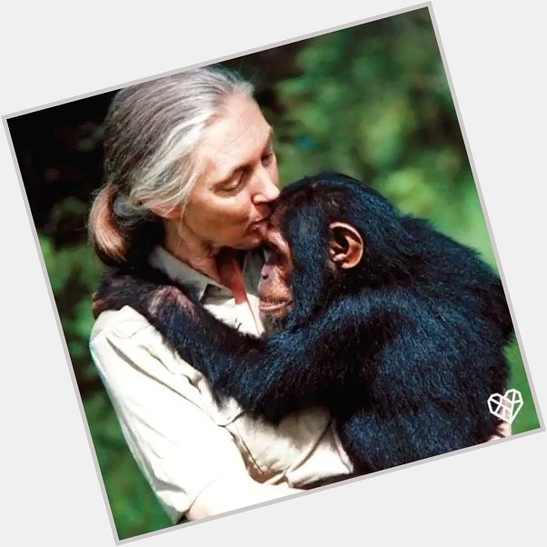 Happy 86th birthday to Jane Goodall, a lifelong friend to animals and advocate for compassion 