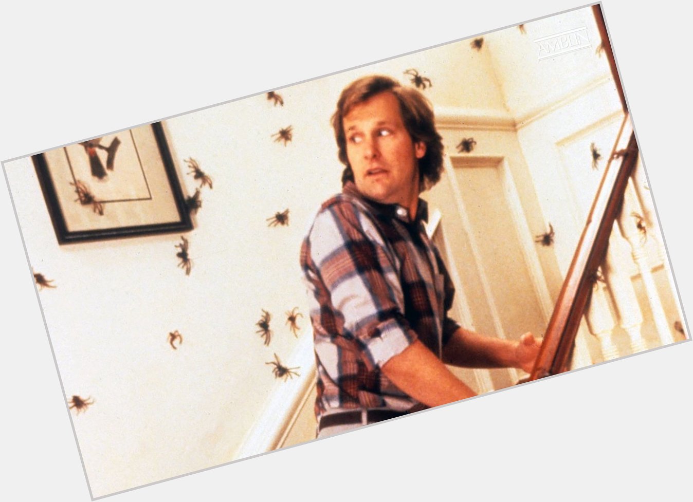 Horror Birthday: Happy 65th Birthday to Jeff Daniels who starred in the 1990 horror movie Arachnophobia. 