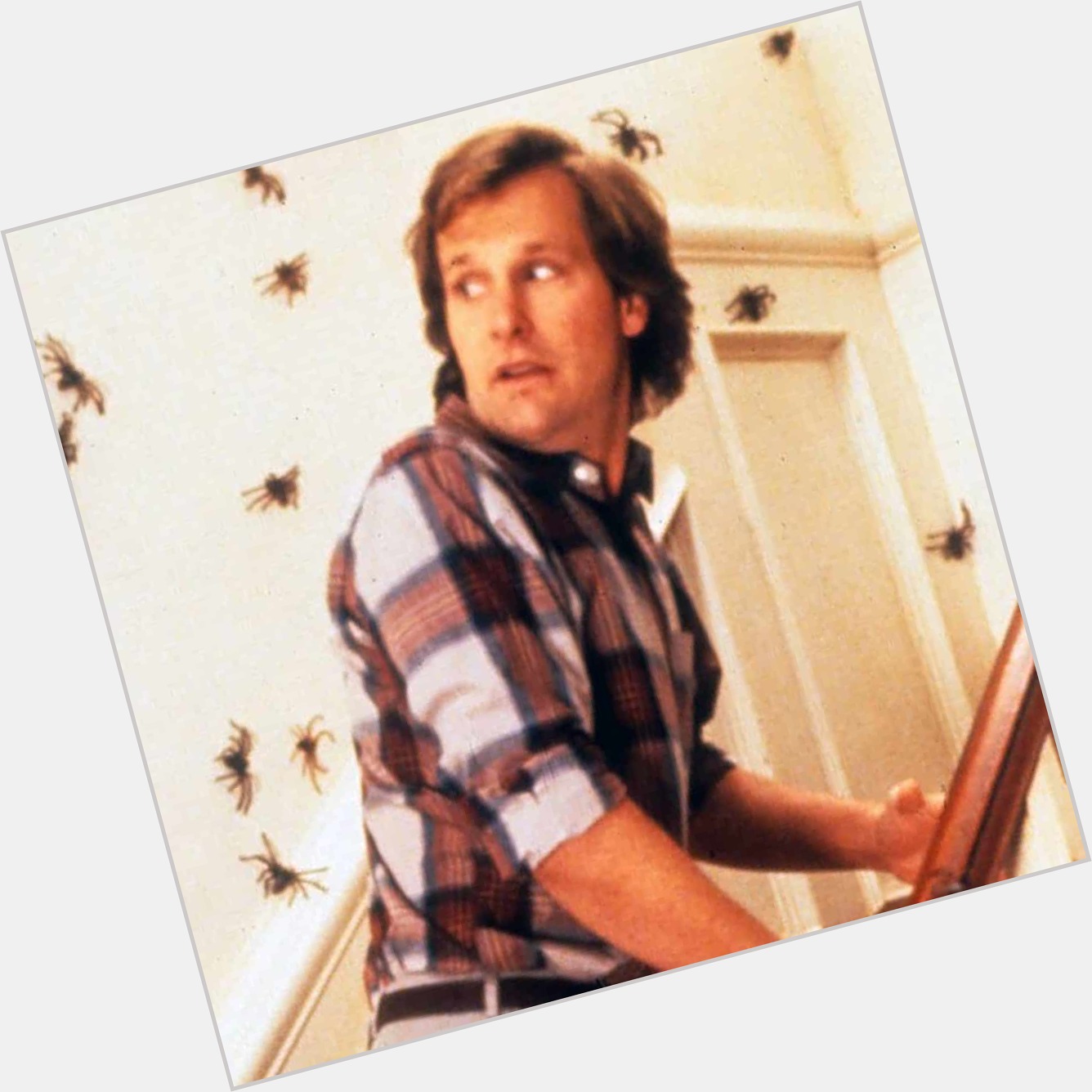 Happy Birthday to Jeff Daniels!   