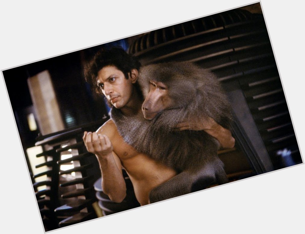We love Jeff Goldblum here at the Reel Retro HQ, but we forgot it was his birthday today, forgive us. Happy Birthday 