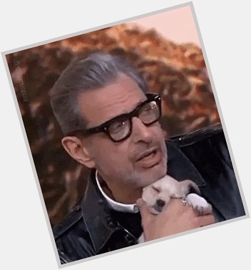 Happy birthday, Here\s a gif of Jeff Goldblum and a puppy 