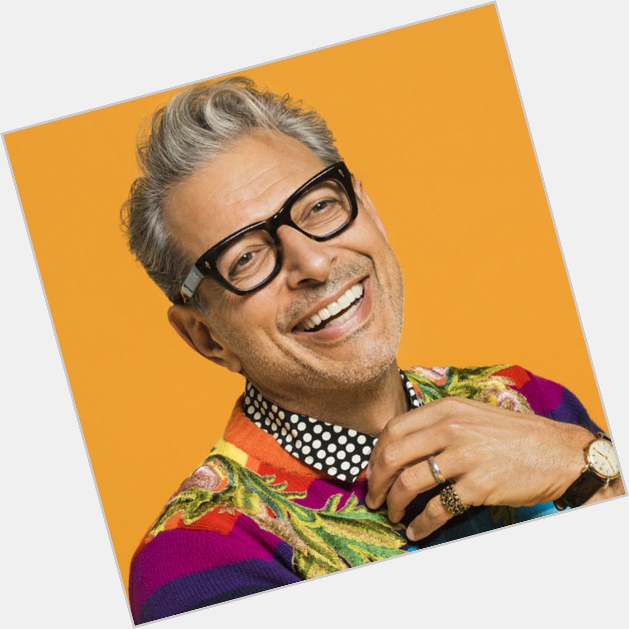 Happy Birthday Jeff Goldblum, he\s 67 today! 