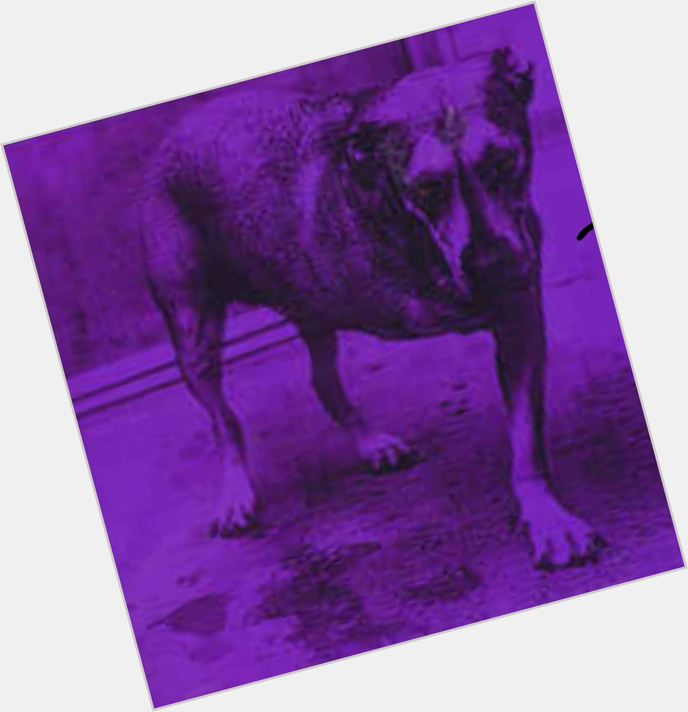 Alice In Chains Grind from the self titled 3 legged dog album. Happy Birthday to my old friend Jerry Cantrell 